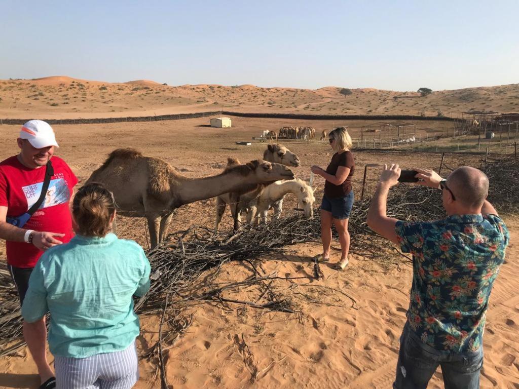 The Dunes Camping & Safari Rak Ras el Kaïmah Extérieur photo